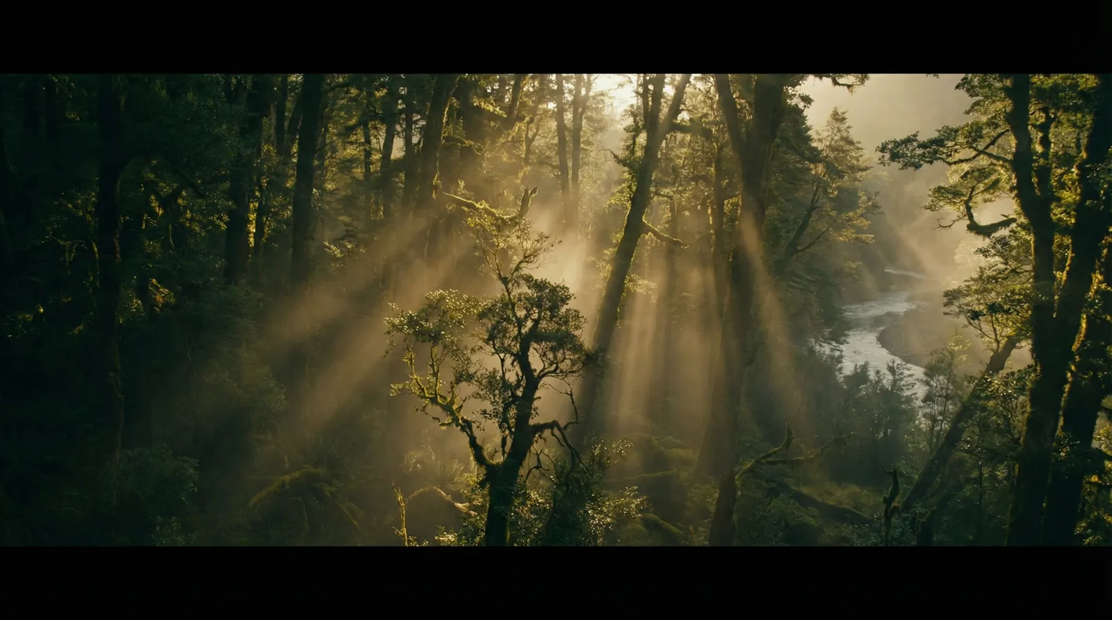 大进军南线大追歼 自然纪录片风格调色案例